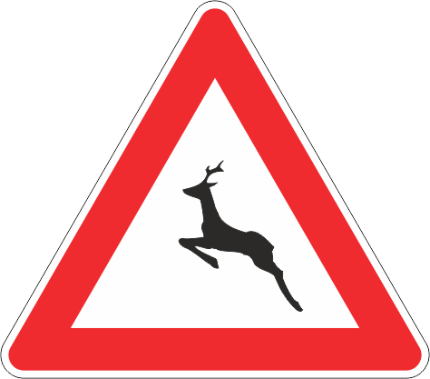 Animali selvatici vaganti Animali selvatici vaganti